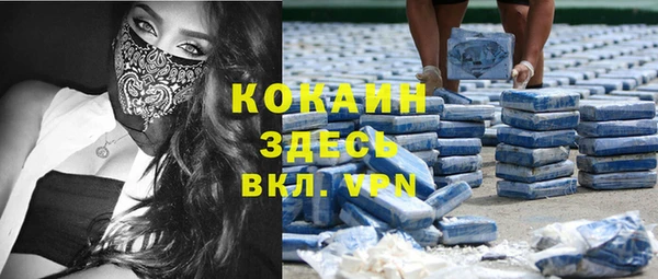 гашик Майский