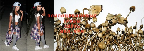 меф Медвежьегорск