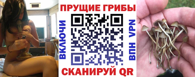 Галлюциногенные грибы GOLDEN TEACHER  купить наркотики цена  Пугачёв 